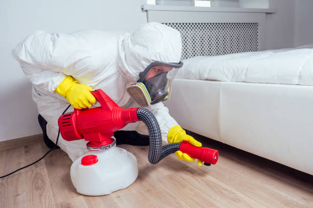 Best Pest Removal Services  in Caway, AR
