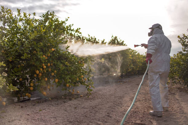 Best Wildlife Control Services  in Caway, AR