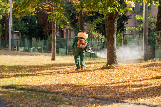 Wasp Removal Services in Caraway, AR
